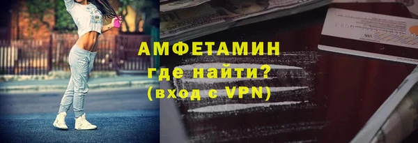 шишки Ладушкин