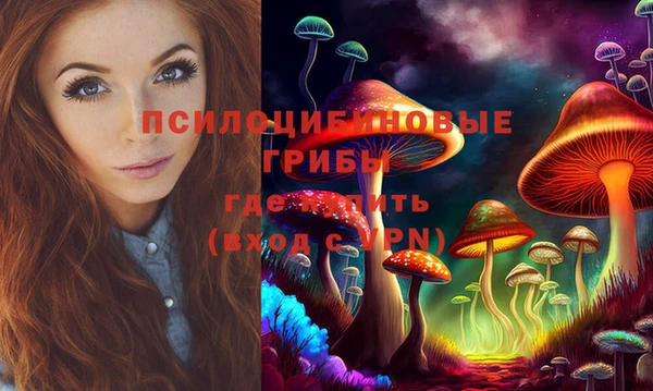 соль курить ск Лабытнанги