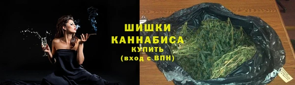 шишки Ладушкин