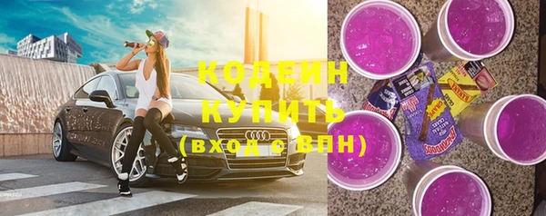 шишки Ладушкин
