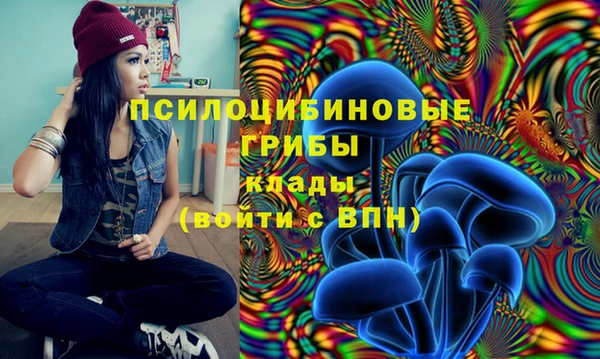 шишки Ладушкин