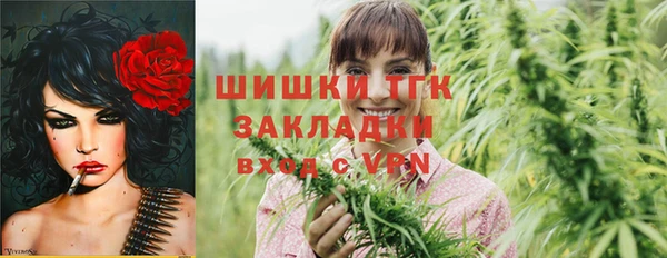 тгк Лагань