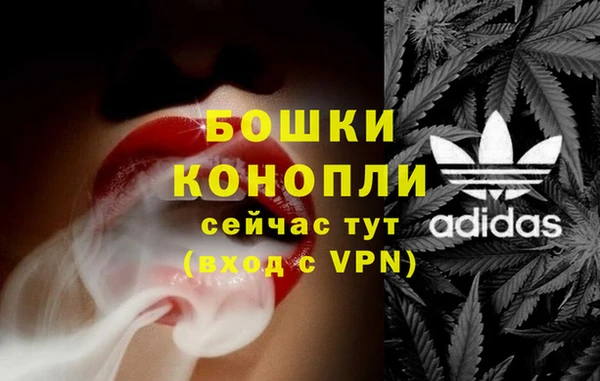 тгк Лагань