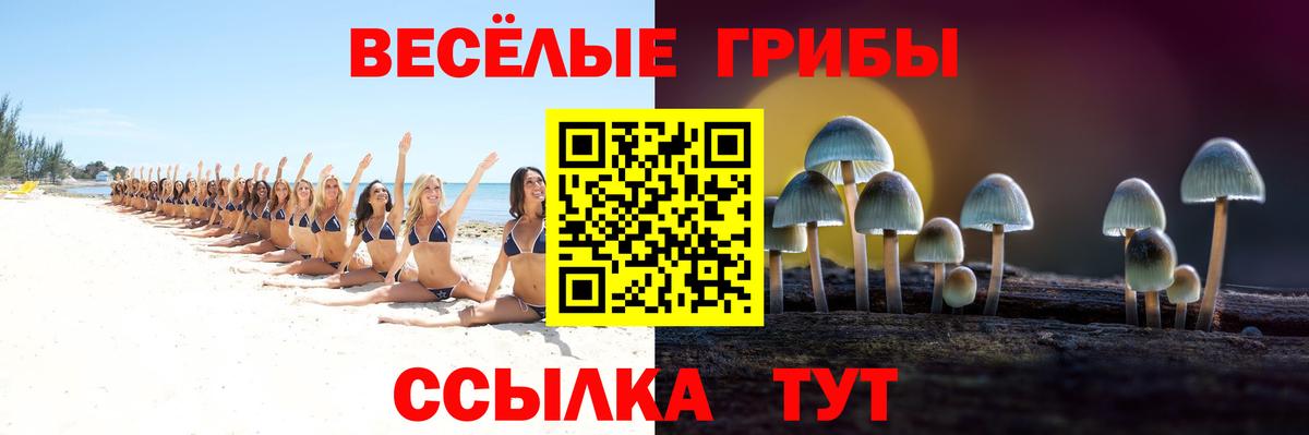 Галлюциногенные грибы мицелий  Вход с VPN  что такое наркотик  Сухой Лог 